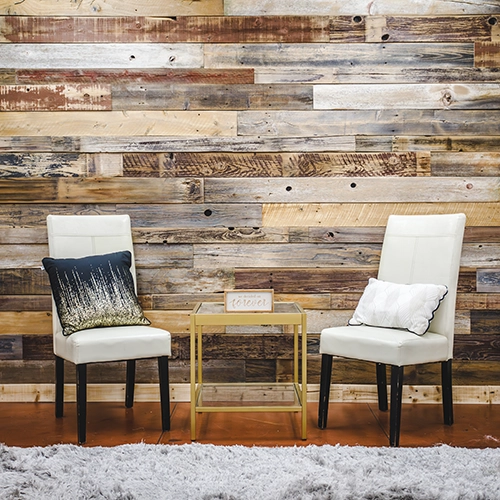 IMG_0139-Enhanced-NR