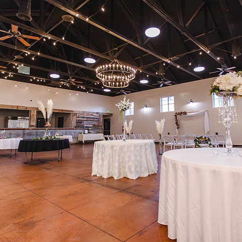 IMG_0168-Enhanced-NR